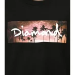 Black Diamond Supply Co Sunset Palms T-Shirt Close