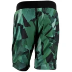 Black/Green Diamond Supply Co. Simplicity Shorts Back