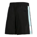 Men's Black Diamond Supply Co. x Puma Shorts Back