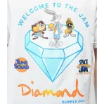 White Diamond Supply Co X Space Jam Welcome To The Jam T-Shirt Close